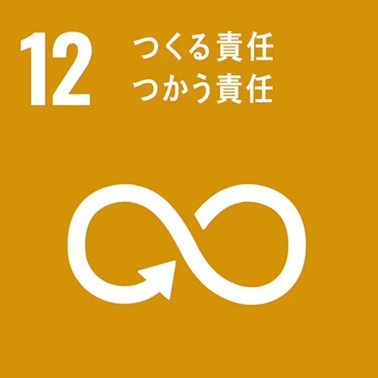 SDGS 12