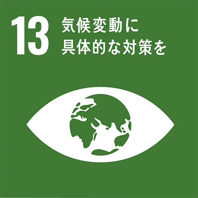 SDGS 13